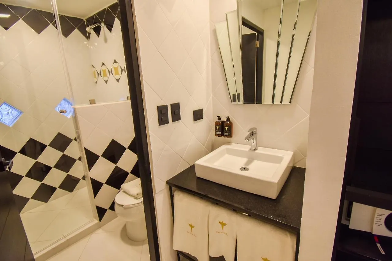 Hotel Tamara 푸에블라 4*,